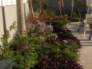 אחזקת גינון