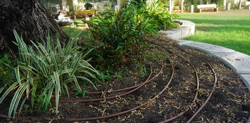 גינון ומערכות השקיה