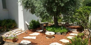 שירותי גינון