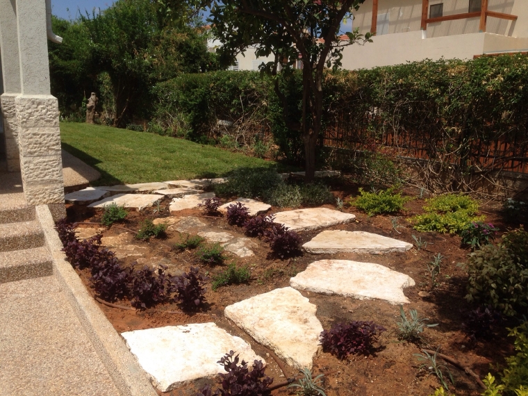 השקיה לגינה