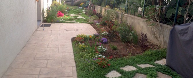 הקמת גינה פרטית בבית בחולון