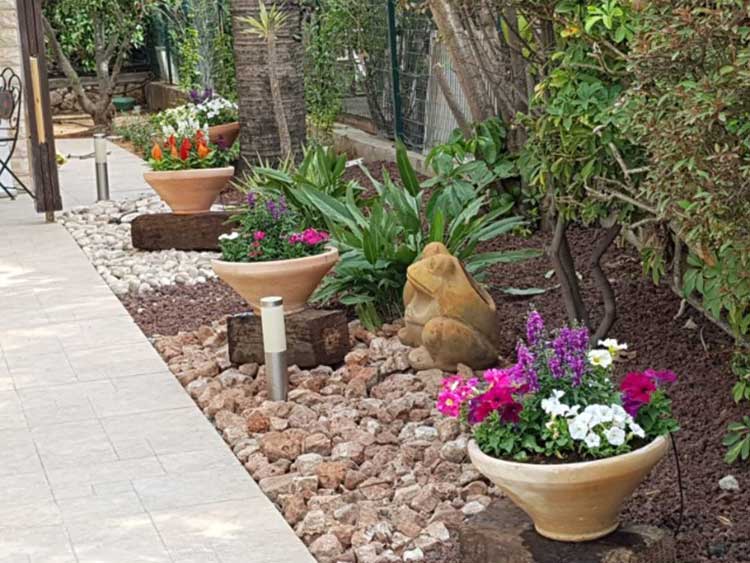 הקמת גינה פרטית בבת חפר 1 הקמת גינה פרטית בבת חפר