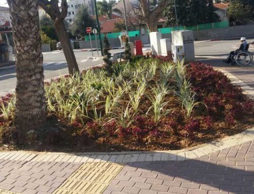 הקמת כיכר ראובן לעיריית גדרה