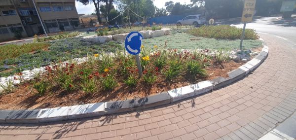 ביצוע כיכר בתיכון גבעת ברנר ביצוע כיכר בתיכון גבעת ברנר