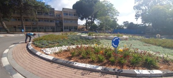 ביצוע כיכר בתיכון גבעת ברנר