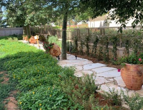 הקמת גינה בבית משותף