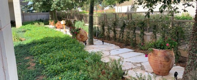 הקמת גינה בבית משותף