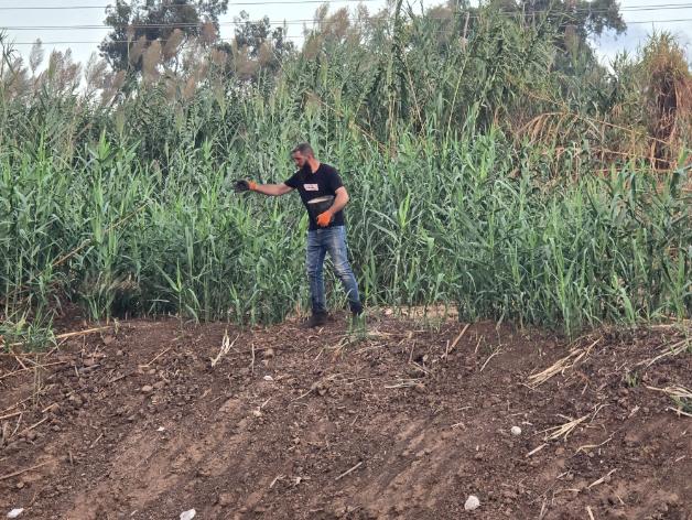 שתילת עצים והקמת מערכת שקייה במגדל צדק ראש העין