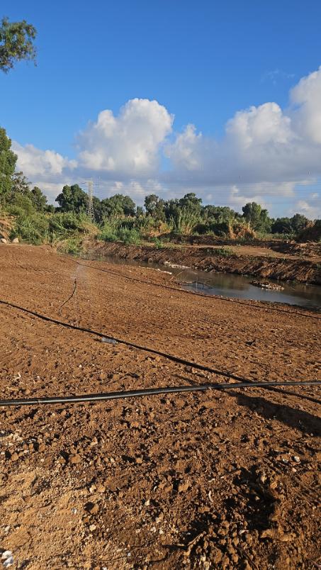 שתילת עצים והקמת מערכת שקייה במגדל צדק ראש העין