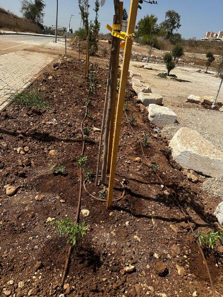 שיקום מחצבת שוהם