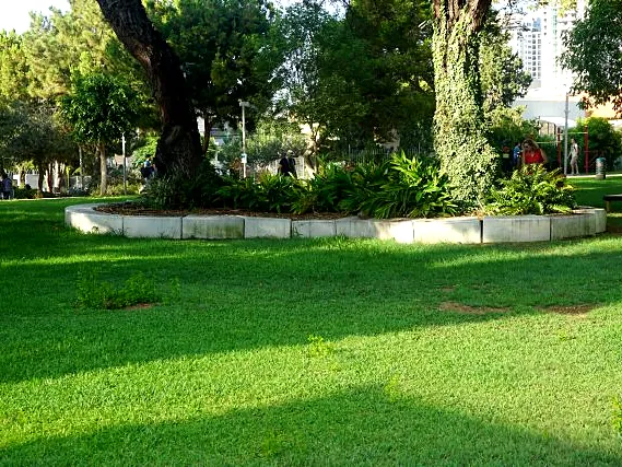 מדשאה מטופחת וערוגה מוגבהת עם שיחים בפארק ציבורי