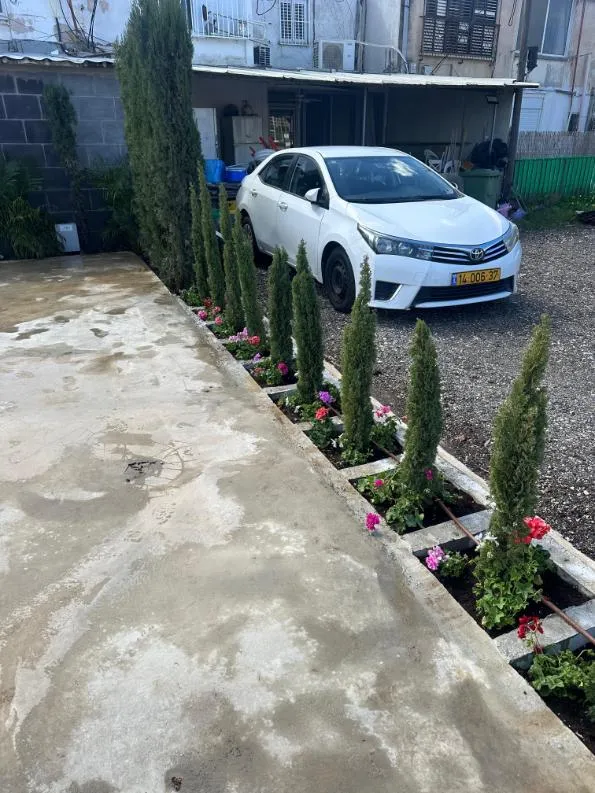 עצים צרים וחצץ לאורך שביל הכניסה בחצר באור יהודה עצים צרים וחצץ לאורך שביל הכניסה בחצר באור יהודה