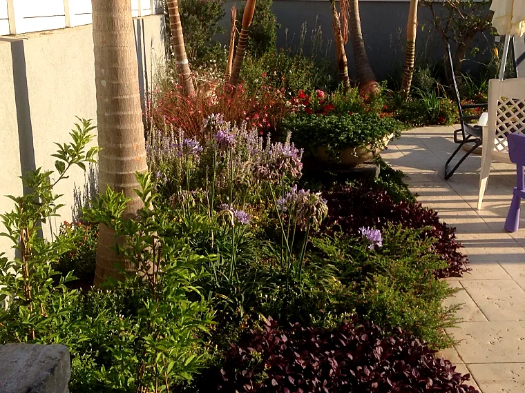private-garden-planted-bed-patio ערוגה שתולה בצמחייה פורחת לצד שביל מרוצף בחצר בית פרטי