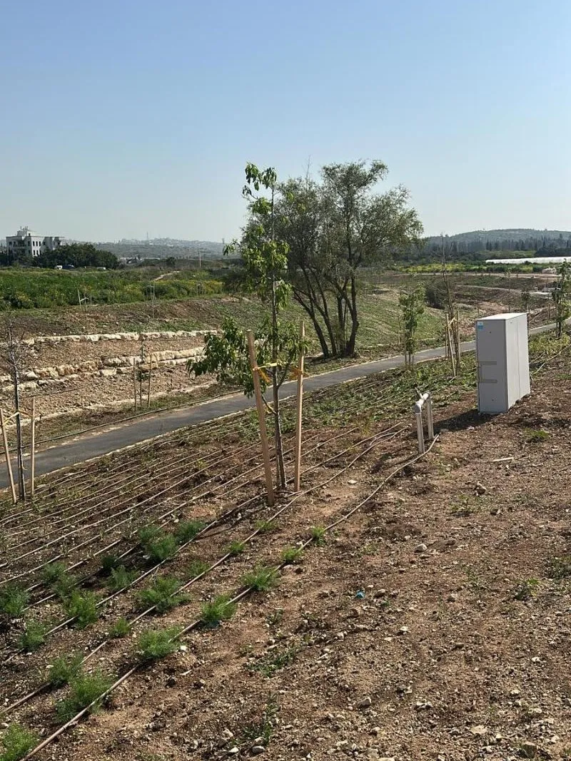 מדרון משוקם עם עצים צעירים, קווי טפטוף וארון השקיה לצד שביל – שיקום נחל קנה מדרון משוקם עם עצים צעירים, קווי טפטוף וארון השקיה לצד שביל – שיקום נחל קנה