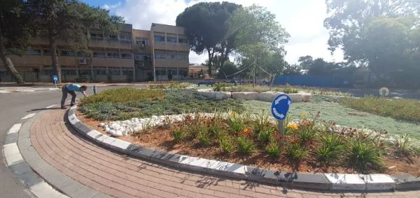 כיכר מגוננת עם ערוגות צבעוניות מול מבנה בית הספר בגבעת ברנר כיכר מגוננת עם ערוגות צבעוניות מול מבנה בית הספר בגבעת ברנר