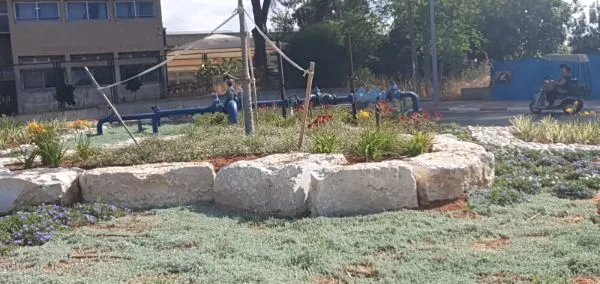 תיחום סלעים, צמחי כיסוי ופסל צנרת במרכז כיכר בגבעת ברנר תיחום סלעים, צמחי כיסוי ופסל צנרת במרכז כיכר בגבעת ברנר