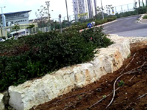 קיר תומך מאבן טבעית סביב ערוגה עם שיחים ליד כביש
