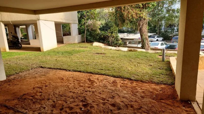 מדשאה חדשה מול כניסת בניין מגורים בתל אביב מדשאה חדשה מול כניסת בניין מגורים בתל אביב