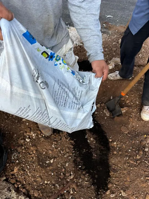 הוספת שיפור קרקע לבור הנטיעה לפני שתילת עץ הוספת שיפור קרקע לבור הנטיעה לפני שתילת עץ